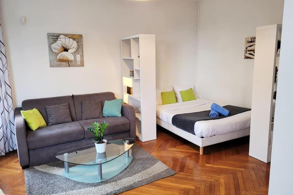Appartement Le Lumineux - Sur Parquet Chevrons - Chez Lulu *